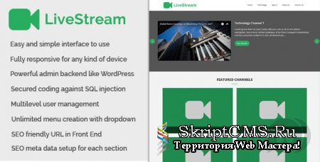 LiveStream - веб-платформа для стриминга